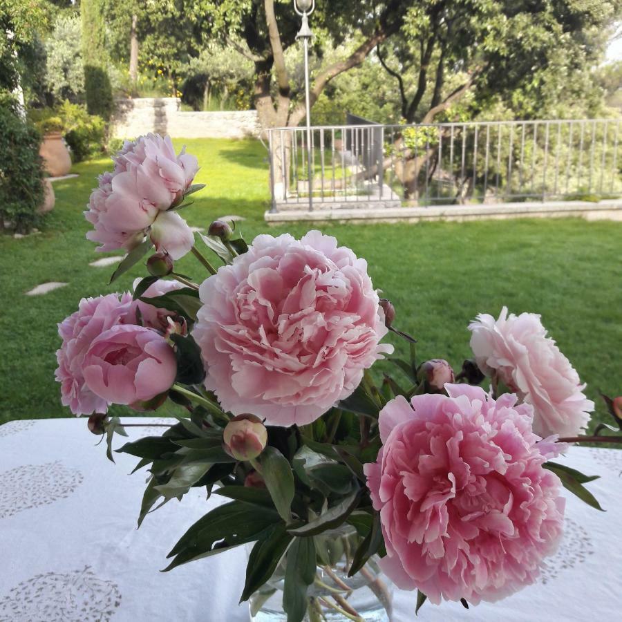 Provence Dodo Bed & Breakfast Villeneuve  Exterior foto